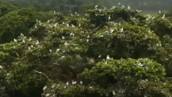 আয়তন