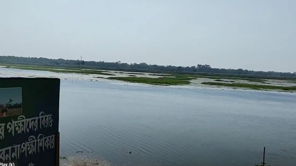 কী দেখবেন