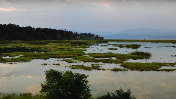 কোথায় থাকবেন