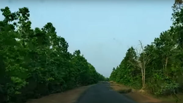 কী অনুভব করবেন
