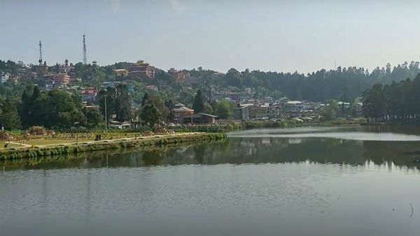 কী কী দেখবেন