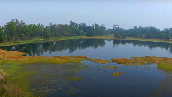 কী কী দেখবেন