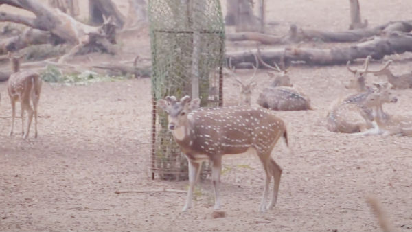 কোথায় থাকবেন