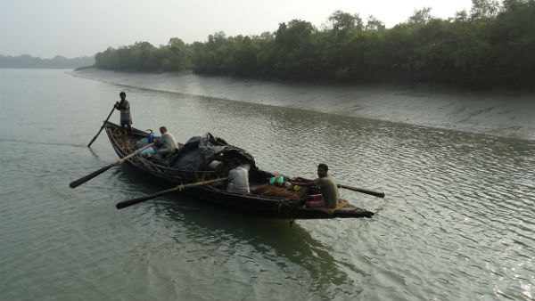 সুন্দরবনে মাছ ধরতে গিয়ে ফের বাঘের শিকার এক মৎস্যজীবী সুন্দরবনে মাছ ধরতে গিয়ে ফের বাঘের শিকার এক মৎস্যজীবী