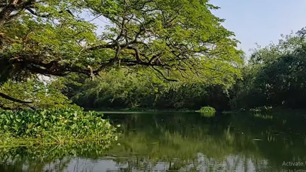 কীভাবে যাবেন