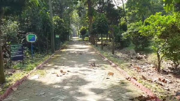 কীভাবে যাবেন