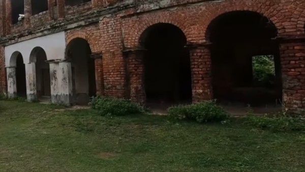 ইতিহাস ও জীব বৈচিত্র