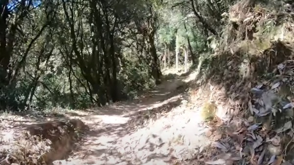 কী কী দেখবেন
