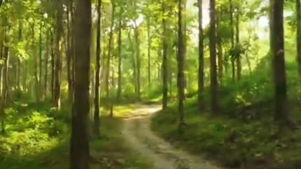 কোথায় থাকবেন