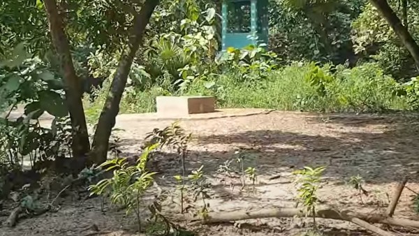 কী কী দেখবেন