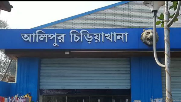 খুলল চিড়িয়াখানা