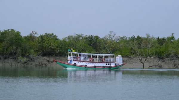 একটা মাস্টারপ্ল্যান পাঠানো হচ্ছে কেন্দ্রে।