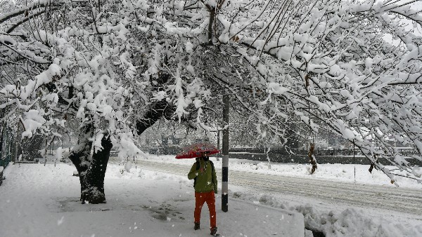 প্রবল ঠাণ্ডায় জবুথবু গোটা উপত্যকাই