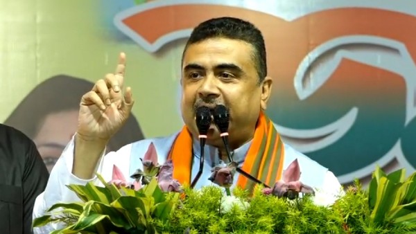 একটা বাঁশের ঝাড়ের বাশ একই রকমের