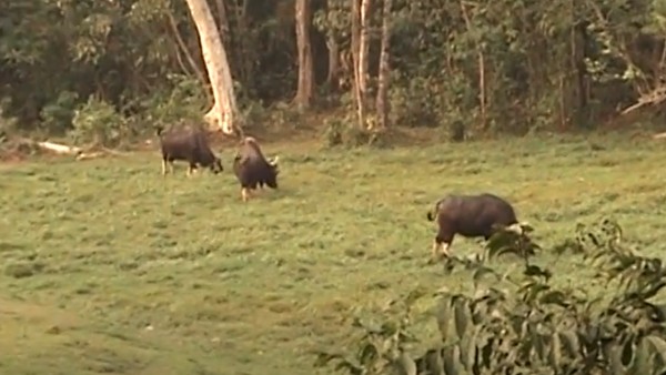কীভাবে পৌঁছবেন
