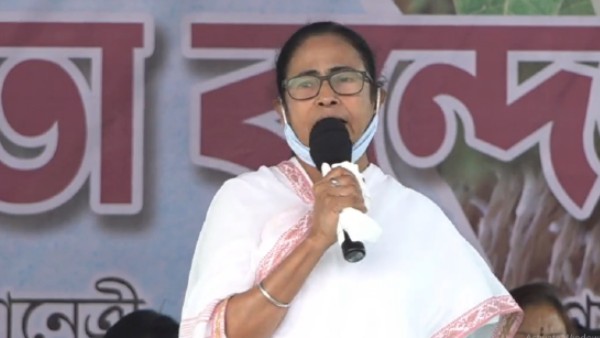 চাকরির প্রস্তাব, সহমর্মিতার বার্তা মমতার কথায়