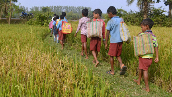 স্কুলে ছুটি ঘোষণা