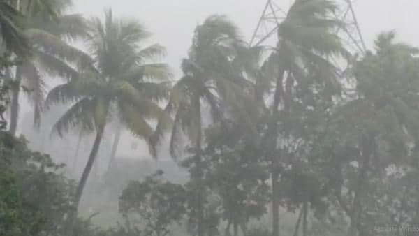 ঝড়ের জন্য কমলা সতর্কবার্তা