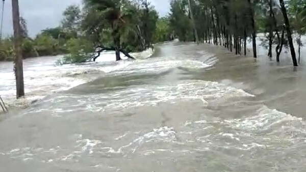 আগামিকাল থেকে বৃষ্টি