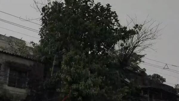 দক্ষিণবঙ্গের জন্য