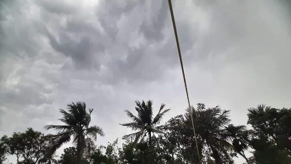 পঞ্জাবের বিস্তীর্ণ অংশে পৌঁছে গিয়েছে মৌসুমী বায়ু