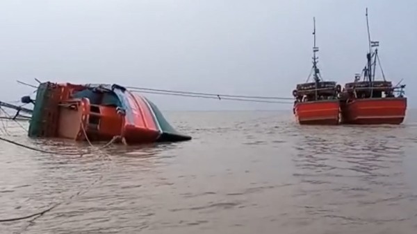 মাইক্রো প্লাস্টিক খেয়ে নিতে পারে রোবট ফিশ