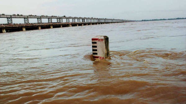 ২৪ শতাংশ বৃদ্ধি