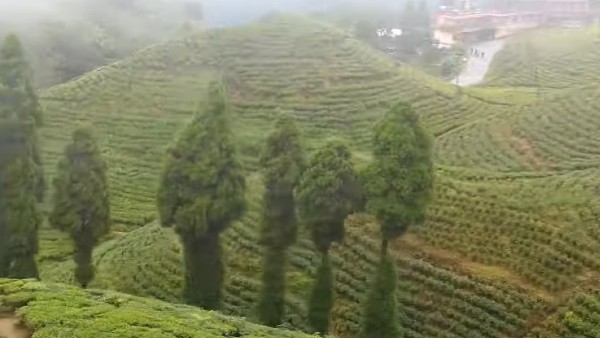 যাত্রাপথ