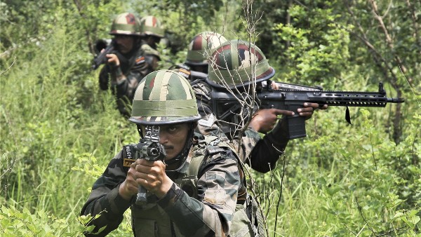 বিএসএফের ভূমিকা