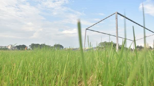 সাইকে কেন দেওয়া?