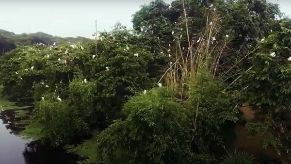 কী দেখবেন
