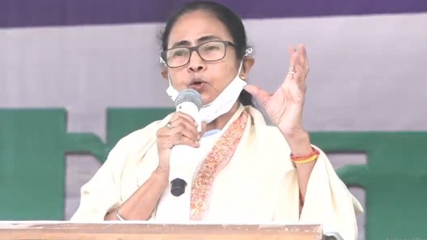 মমতা বন্দ্যোপাধ্যায় জিতবেন ৫০ হাজার ভোটে!