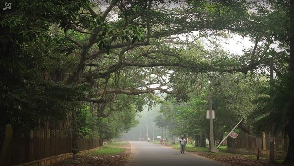 ৪ জানুয়ারি থেকে দাপট বাড়বে পশ্চিমী ঝঞ্ঝার