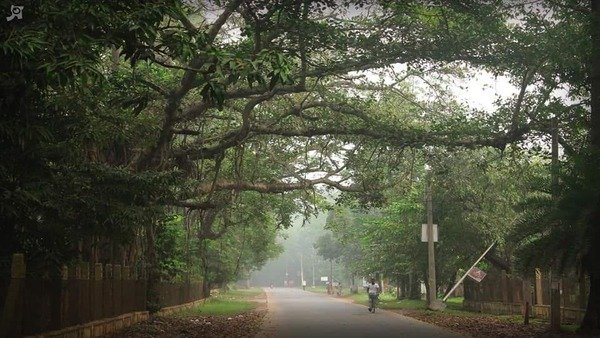 পুরভোটের প্রার্থী ঘোষণা হতে পারে