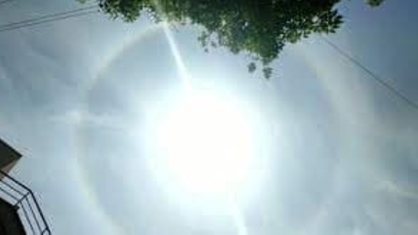 সোনার থেকেও বেশি ব্যয়বহুল ছিল বেগুনি রং