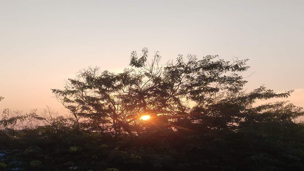 দক্ষিণবঙ্গের আবহাওয়া