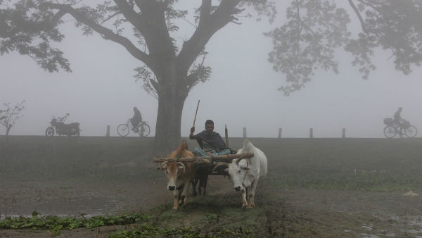 উত্তরবঙ্গের আবহাওয়া