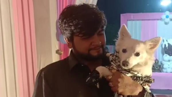করোনা বিধি ভেঙে মহা ধুমধামে পালন পোষ্যের জন্মদিন করোনা বিধি ভেঙে মহা ধুমধামে পালন পোষ্যের জন্মদিন