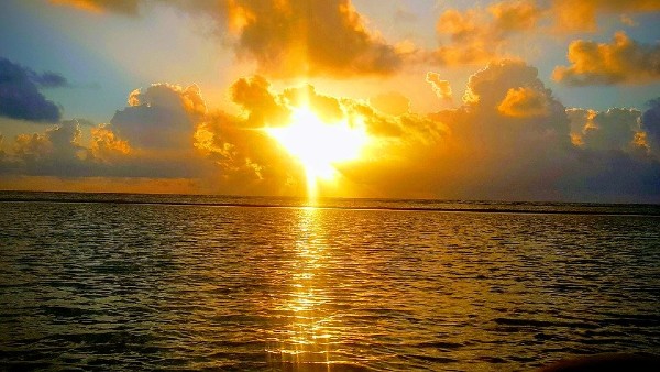 সিংহ রাশি