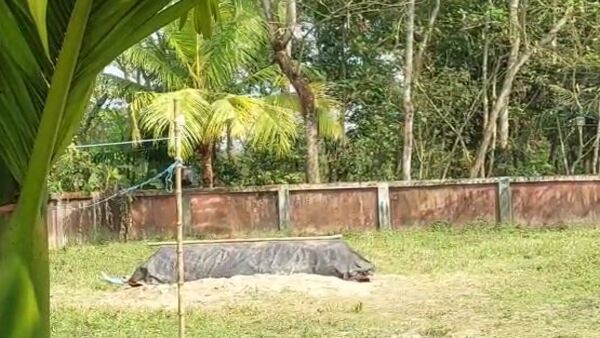 আদালতের নির্দেশ না মানার অভিযোগ