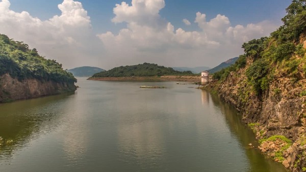 বিশেষ বৈশিষ্ট্য