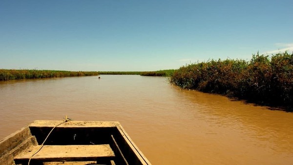 গবেষণা এবং বিতর্ক