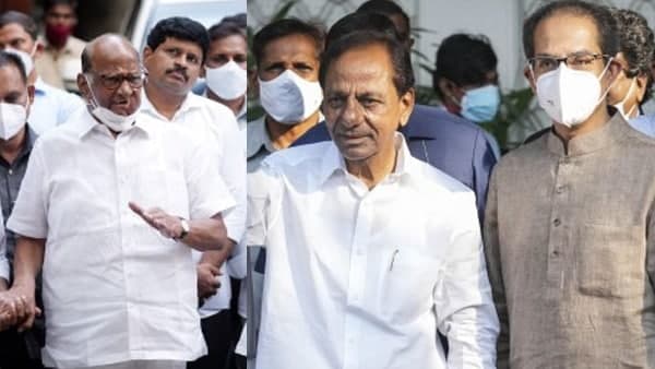 বিরোধী রাষ্ট্রপতি পদপ্রার্থী দাঁড় করানোর পদ্ধতি নিয়েও প্রশ্ন