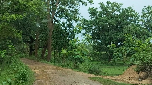 মানুষের মধ্যে আতঙ্ক