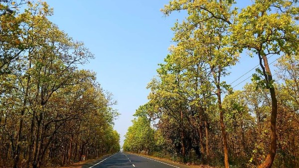 উত্তরবঙ্গের আবহাওয়া
