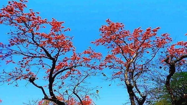 কলকাতার আবহাওয়া