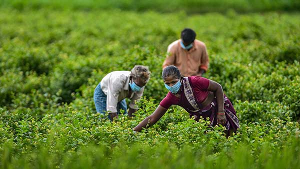 একনজরে ঘটনাবলি