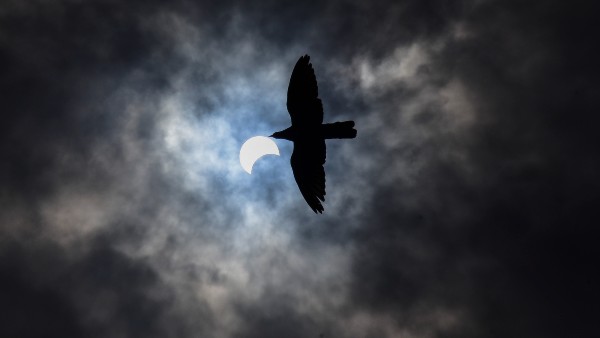 ভগবানের দর্শন করা