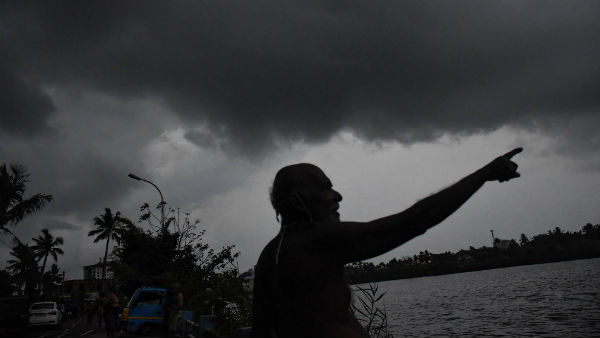 কী বলেছেন মন্ত্রী ?