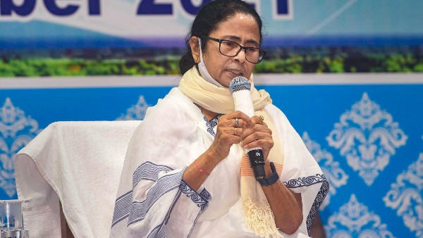 জুনে জিটিএ নির্বাচন